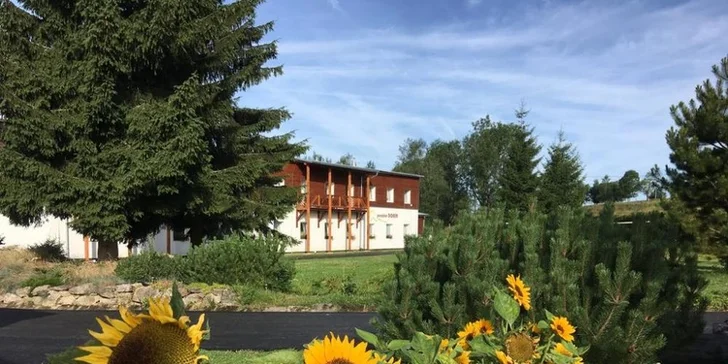 2denní zájezd do jižních Čech: Lipno, Stezka v korunách stromů i zámek Hluboká