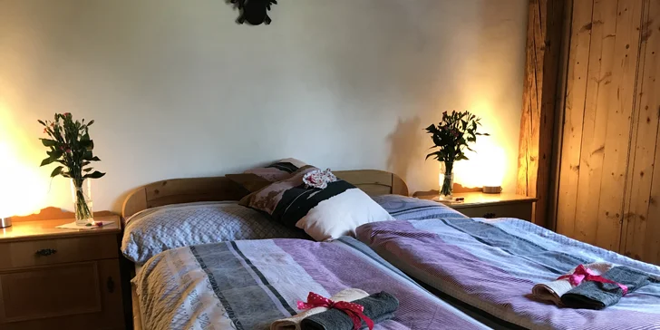 Dovolená na Šumavě: rustikální apartmán s venkovním posezením až pro 9 osob