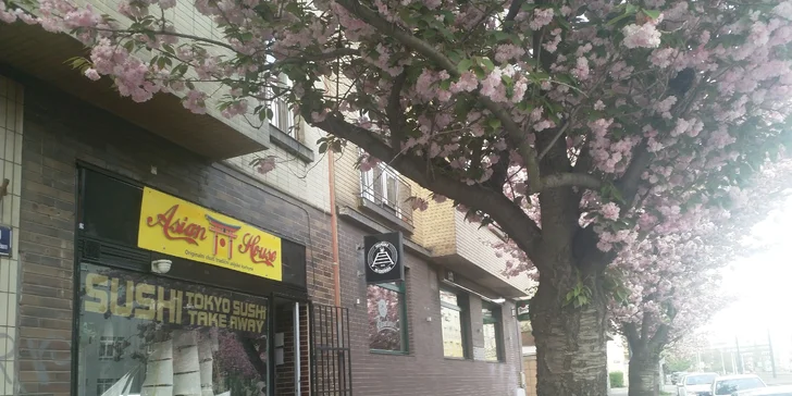 Pestré sushi sety s sebou: 24 ks nebo až 81 kousků i s polévkou a salátem