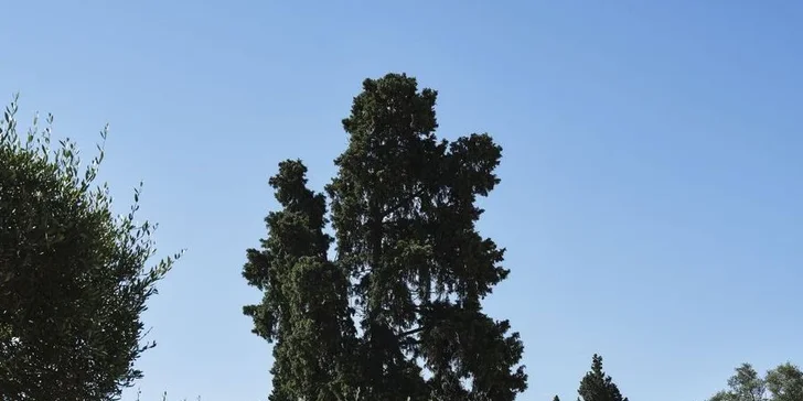 Zabydlíte se ve dvoulůžkovém či rodinném pokoji.