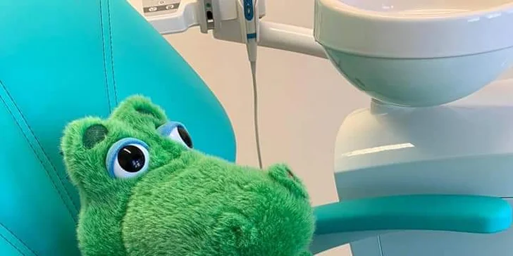 Vstupní dentální hygiena: odstranění zubního kamene, čistění i dárek