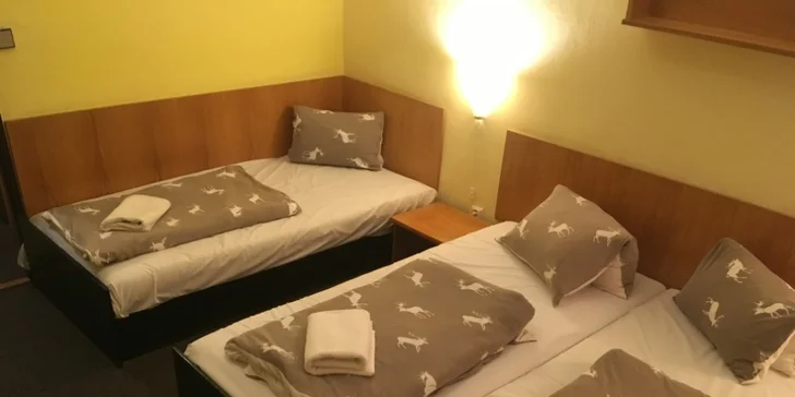 Rodinný hotel v Krkonoších: polopenze, výlety a animační program
