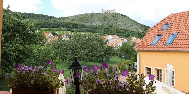Dovolená v srdci Pálavy: pokoj i apartmán s polopenzí i víno přímo na pokoji