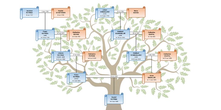 Najděte své předky: rodokmen až 5 generací ve formě digitálního stromu