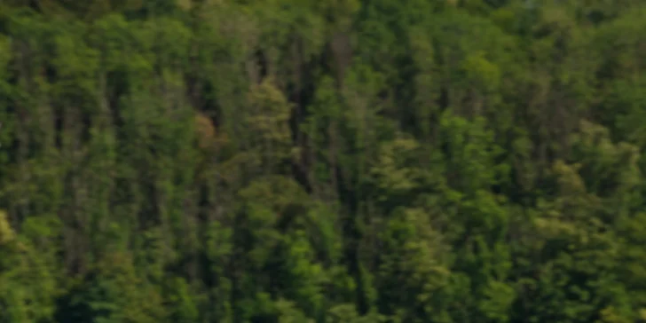 Wakeboarding nebo vodní lyže na Těrlické přehradě: 1 či 2 hodiny v kuse i 30 jízd kdykoliv