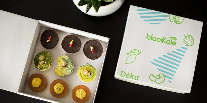 Kolekce raw mini dezertů: 3 letní ovocné příchutě, celkem 9 ks košíčků
