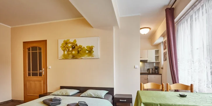 Pobyt v apartmánech pod Klínovcem: pohodlné ubytování a láhev bílého vína