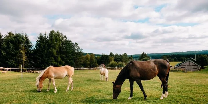 Relax na Vysočině pro 2 osoby: pobyt se snídaní či polopenzí a vstupem do wellness