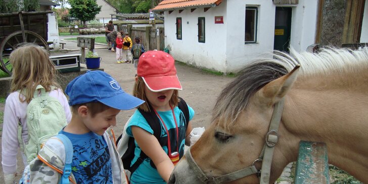 Výlet pro děti i dospělé: zámek Loučeň s labyrintáriem a Zoo Chleby, služby průvodce, vstupy v ceně