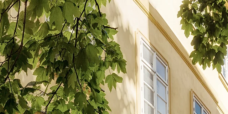 Vstup do Knihtiskárny Muzea Kutné Hory i výroba vlastní pohlednice