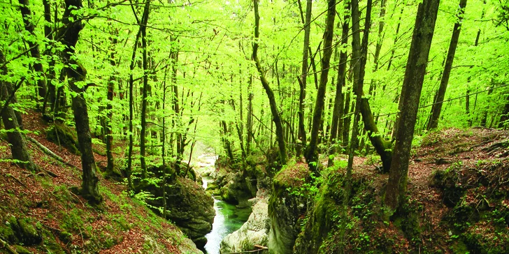 Slovinsko: výlet k Bohinjskému jezeru, vrcholu Vogel a kaňonu Mostnica