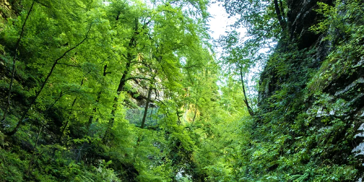 Poznávací výlet do Slovinska: jezero Bled, hrad i soutěska Vintgar