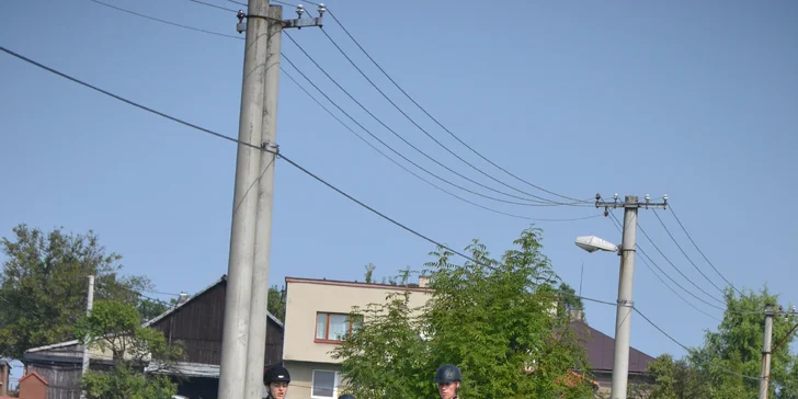 Hodinová jízda na koni pro začátečníky s instruktorem: pro 1 i 2 osoby