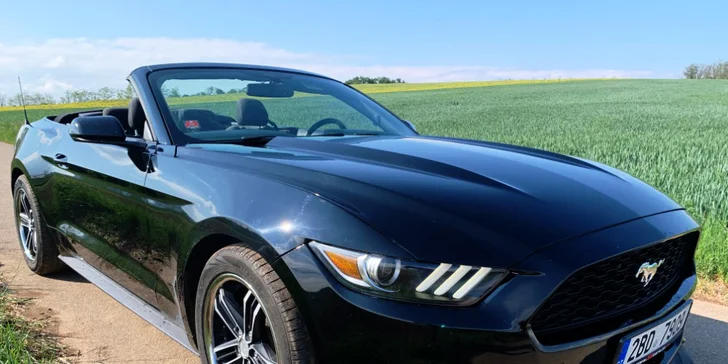 Ford Mustang 5.0 GT nebo Ford Mustang Cabrio: 30 min. až 12 hod. řízení