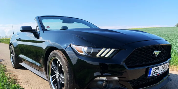 Ford Mustang 5.0 GT nebo Ford Mustang Cabrio: 30 min. až 12 hod. řízení
