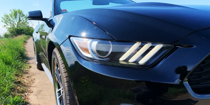 Ford Mustang 5.0 GT nebo Ford Mustang Cabrio: 30 min. až 12 hod. řízení