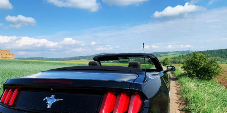 Ford Mustang 5.0 GT nebo Ford Mustang Cabrio: 30 min. až 12 hod. řízení