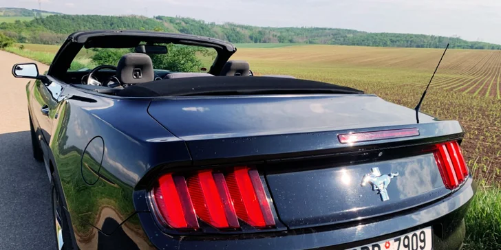 Ford Mustang 5.0 GT nebo Ford Mustang Cabrio: 30 min. až 12 hod. řízení
