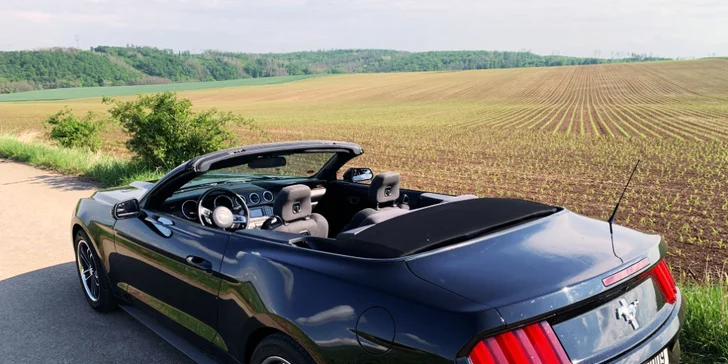Ford Mustang 5.0 GT nebo Ford Mustang Cabrio: 30 min. až 12 hod. řízení