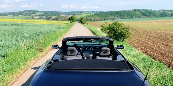 Ford Mustang 5.0 GT nebo Ford Mustang Cabrio: 30 min. až 12 hod. řízení