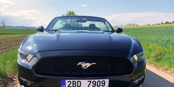 Ford Mustang 5.0 GT nebo Ford Mustang Cabrio: 30 min. až 12 hod. řízení