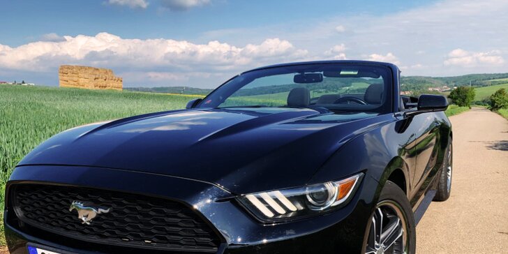Ford Mustang 5.0 GT nebo Ford Mustang Cabrio: 30 min. až 12 hod. řízení