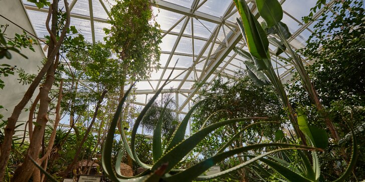 Jediná botanická zahrada pod Krušnými horami: vstupenka pro 2 dospělé