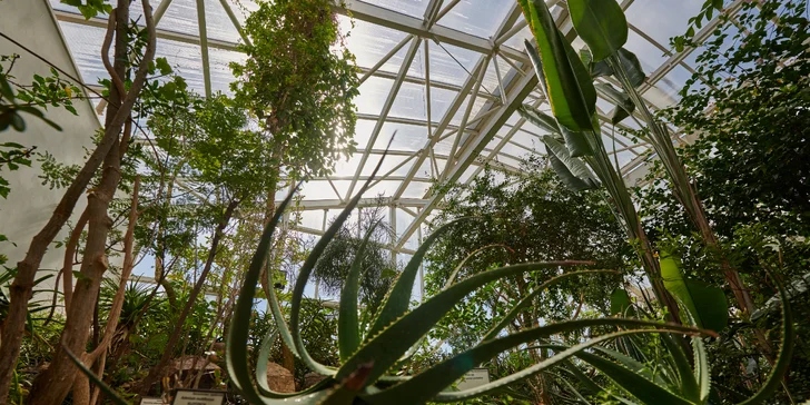 Botanická zahrada Teplice: vstupenky pro 1 i pro rodinu