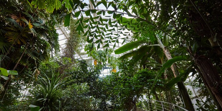 Jediná botanická zahrada pod Krušnými horami: vstupenka pro 2 dospělé