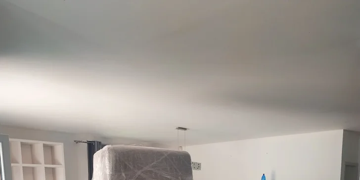Stěhování Vektos