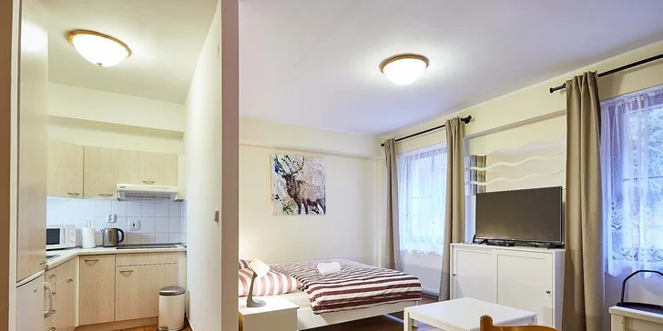 Pobyt v apartmánech pod Klínovcem: pohodlné ubytování a láhev bílého vína