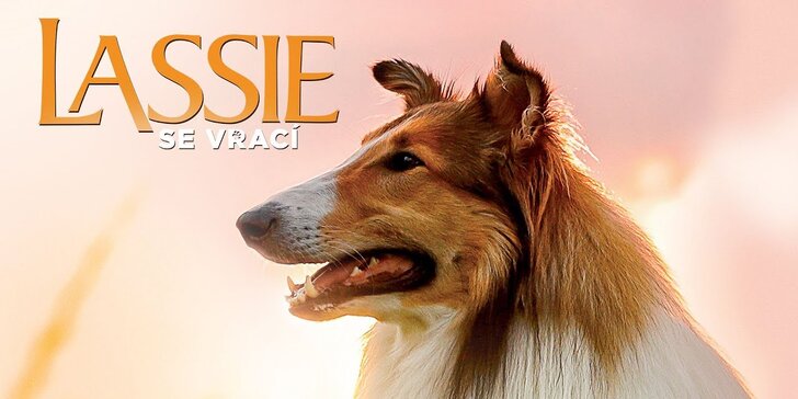 Lístek do kina na vybrané filmy: Volání divočiny, Bourák, Lassie se vrací
