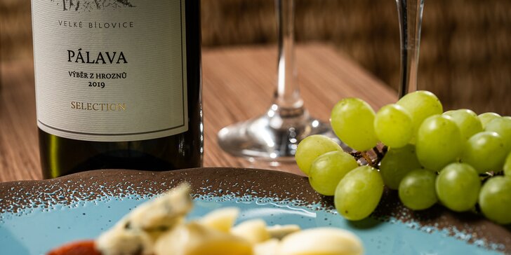 Příjemné posezení: lahev vína podle výběru a k ní domácí klobáska a farmářské sýry