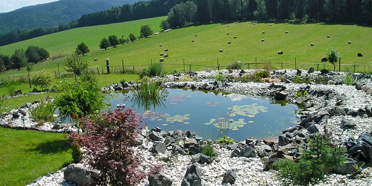 Za krásami Šumavy: penzion s polopenzí a wellnessem pro 2 osoby