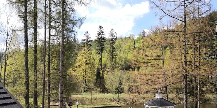Objevujte krásy Polska: hotel u lesa a řeky, polopenze a neomezený wellness