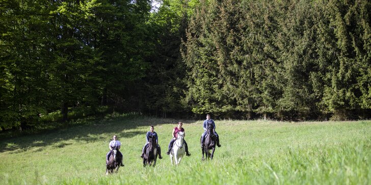 Hodinová vyjížďka na filmových koních krásnou posázavskou krajinou
