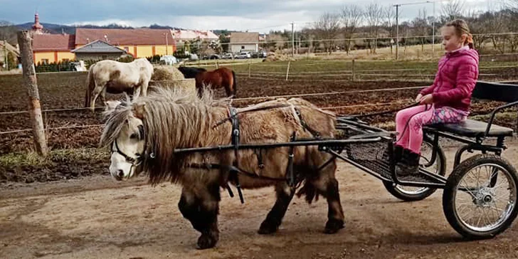 S rodinou na farmu: lamy, klokani a další zvířátka, projížďka na ponících i opékání buřtů