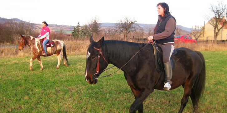 Vyjížďka na koni s instruktorkou a prohlídka minizoo: pro jednoho i dva jezdce, 45 či 90 minut