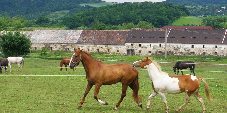 Vyjížďka na koni s instruktorkou a prohlídka minizoo: pro jednoho i dva jezdce, 45 či 90 minut
