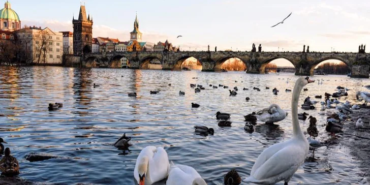 Elegantní hotel na Žižkově, bohaté snídaně a top místa Prahy na dosah