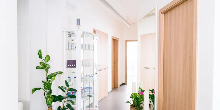 Permanentní make-up obočí, rtů či očních linek klasickými i minerálními barvami