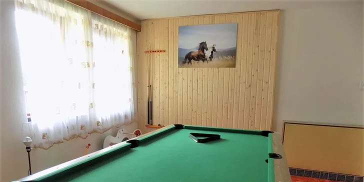 Zimní dovolená v Krušných horách: plně vybavený apartmán pro 2–6 osob nedaleko sjezdovek