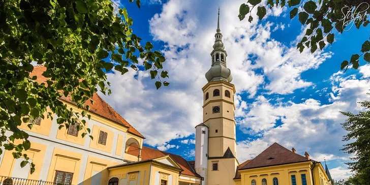 Vstupné na romantický zámek Tovačov pro 1 osobu i rodinu