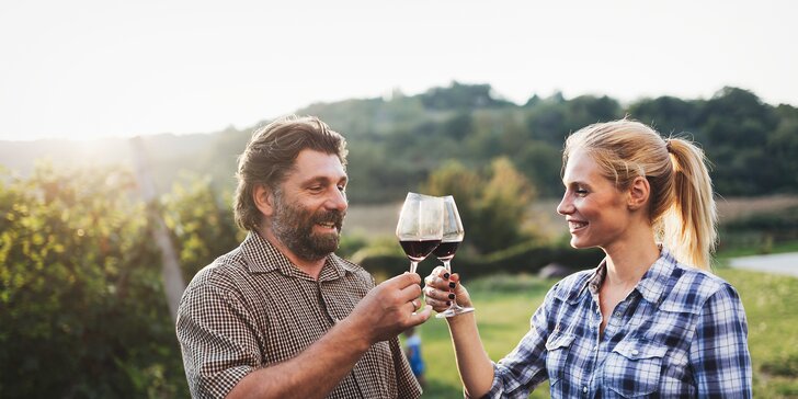 Pobyt v penzionu rodinného vinařství pro páry i skupiny vč. vína nebo degustace