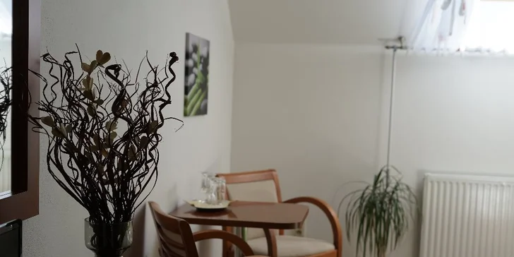 Pohoda na Hané s polopenzí a vstupenkami například do Květné zahrady
