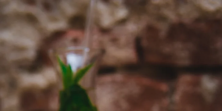 Sladká nebo slaná vafle podle výběru a domácí limonáda pro jednoho