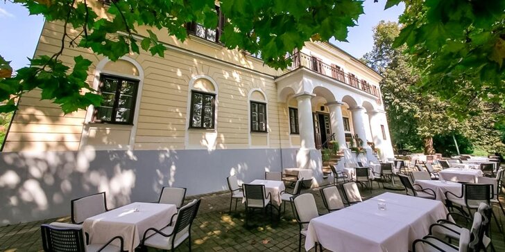 Dovolená v Chorvatsku: 4* hotel se stravou, neomezený vstup do aquaparku