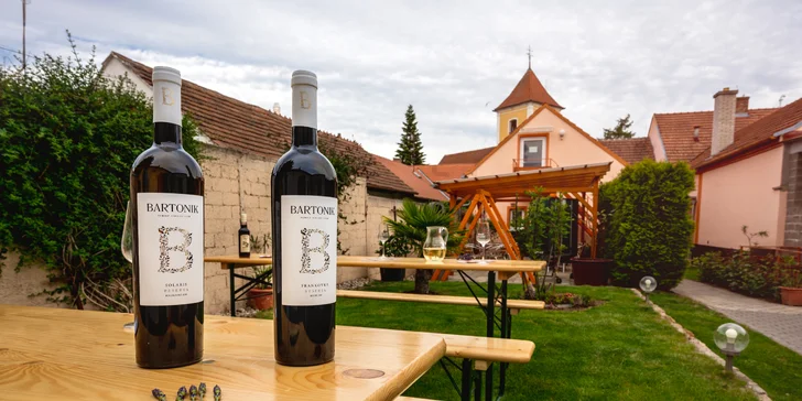 Letní degustace na Slovácku s cimbálovou muzikou a vinnými specialitami