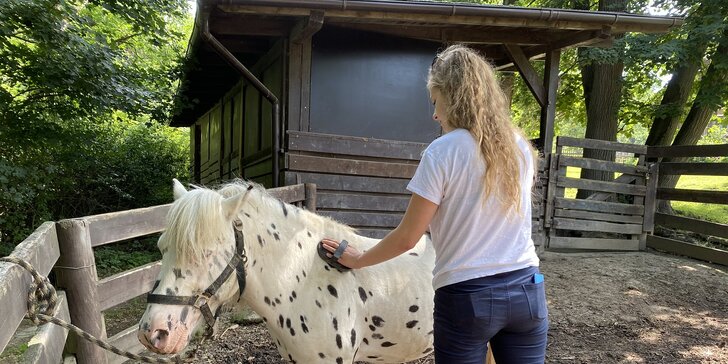 Pro skutečné milovníky zvířat: chovatelem na jeden den aneb péče o koně, krávy i lamy
