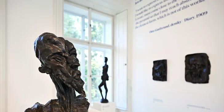 Vstupenky do Musea Kampa: stálá expozice i aktuální výstava Alfons Mucha a Pasta Oner